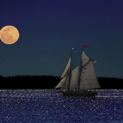 Windjammer Schooner Lewis R. French by null