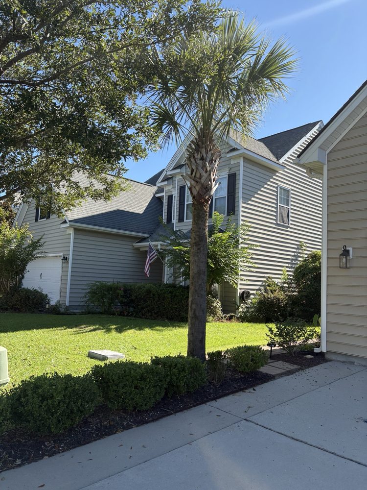 Tree Love - tree service in Moncks Corner, SC