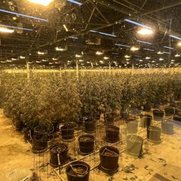 Grow house Grow house
