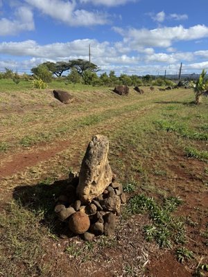 Kukaniloko Birth Stones by null