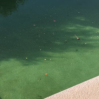 R & R Pool Care - Pool Cleaners Near Me R & R Pool Care - Pool Cleaners Near Me