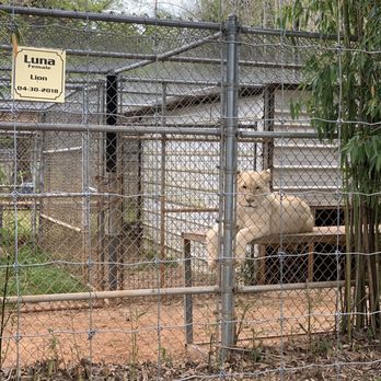 Tiger Creek Animal Sanctuary - Community Service/Non-Profit Near Me - Tyler, Texas
