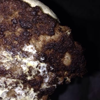Sonic Drive-In - Just a simple burger they burnt beyond recognition. So disgusting !!!! - Fast Food Near Me - ALVIN, Texas Sonic Drive-In - Just a simple burger they burnt beyond recognition. So disgusting !!!! - Fast Food Near Me - ALVIN, Texas