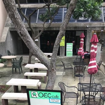 OEC Café - as you walk down Queen Street - look down! - Cafes Near Me - Honolulu, Hawaii OEC Café - as you walk down Queen Street - look down! - Cafes Near Me - Honolulu, Hawaii