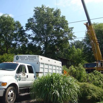 Patrick Musser Tree Service - Tree and Stump Removal Services, Tree Trimming, Pruning, Deadwood, Large and Dangerous Trees, 24/7 Emergency Service, Lot Clearing, and Comm - Tree Services Near Me - Adamstown, Maryland Patrick Musser Tree Service - Tree and Stump Removal Services, Tree Trimming, Pruning, Deadwood, Large and Dangerous Trees, 24/7 Emergency Service, Lot Clearing, and Comm - Tree Services Near Me - Adamstown, Maryland