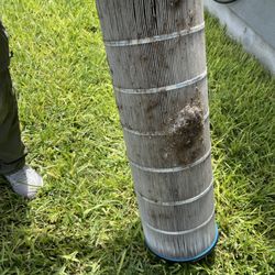 Porky’s Pool & Spa Services - Dirty filter !