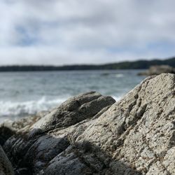 Beachology