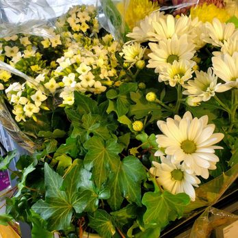 Lidl - Spring flowers for sale - 3/25/2026 - Grocery Near Me - Yonkers, New York Lidl - Spring flowers for sale - 3/25/2026 - Grocery Near Me - Yonkers, New York