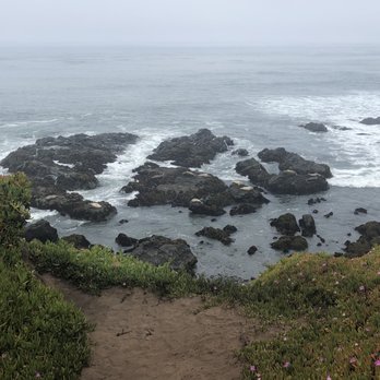 Fiscalini Ranch Preserve - Sea lions - Beaches Near Me - Cambria, California Fiscalini Ranch Preserve - Sea lions - Beaches Near Me - Cambria, California
