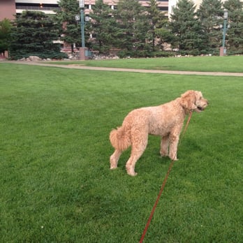 Minneapolis Conventiom Center - Lola loves this park! - Cultural Center Near Me - Minneapolis, Minnesota Minneapolis Conventiom Center - Lola loves this park! - Cultural Center Near Me - Minneapolis, Minnesota