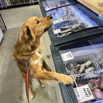 True Carnivores Kitchen - All the frozen goodies - Pet Stores Near Me - Vancouver, British Columbia True Carnivores Kitchen - All the frozen goodies - Pet Stores Near Me - Vancouver, British Columbia