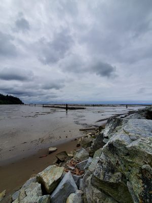 Wreck Beach by null
