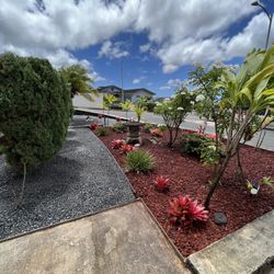 Oahu Complete Yard Service - Plant removal and pruning.Gravel and red cinder installation