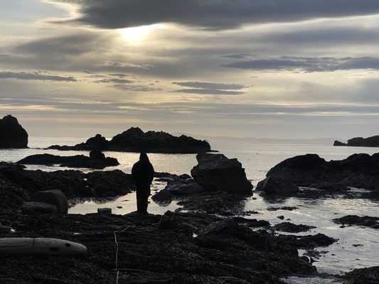 Deception Pass State Park by null