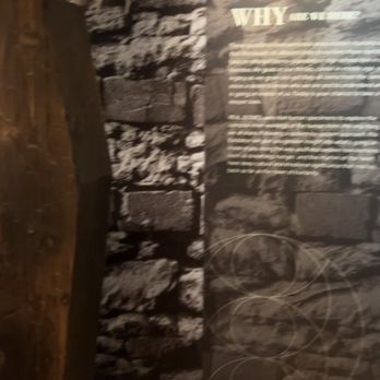 Real Bodies - Coffin - Museums Near Me - Las Vegas, Nevada Real Bodies - Coffin - Museums Near Me - Las Vegas, Nevada