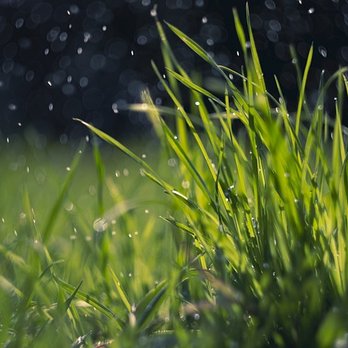 Get It Down - landscaper near me - Tree Services Near Me