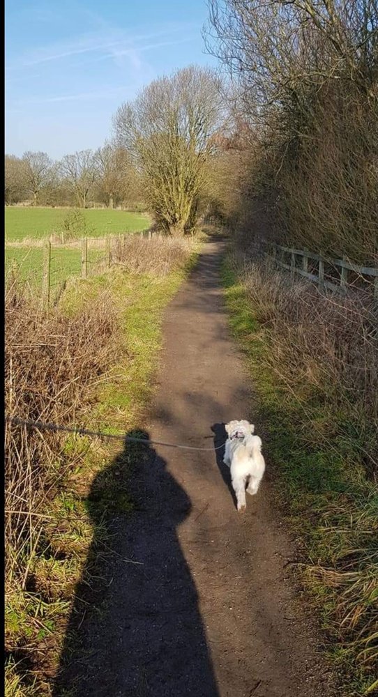 Pennington Flash Country Park