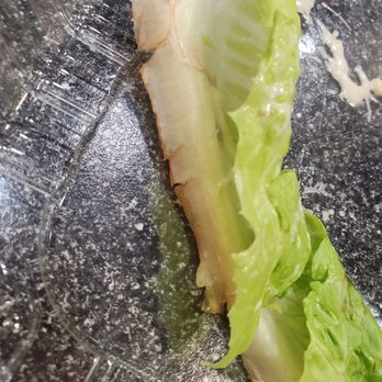 Stone Oven - More brown old lettuces buried in the bottom! - Sandwiches Near Me - Glendale, California Stone Oven - More brown old lettuces buried in the bottom! - Sandwiches Near Me - Glendale, California