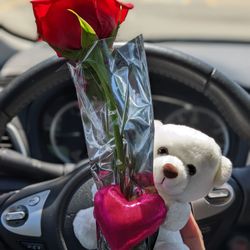 Walgreens - Rose with a cute teddy bear