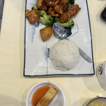 Bodhi Village - Vegetable General Tso's Chicken, Spring Roll - Vegetarian Near Me - Flushing, New York
