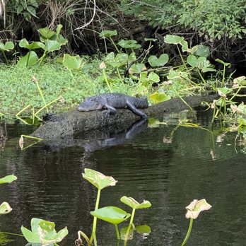 Sea Serpent Tour - Boat Tours Near Me - Saint Augustine, Florida