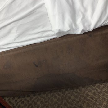 Comfort Inn & Suites Plattsburgh - Morrisonville - God knows what this is - Hotels Near Me - Plattsburgh, New York Comfort Inn & Suites Plattsburgh - Morrisonville - God knows what this is - Hotels Near Me - Plattsburgh, New York