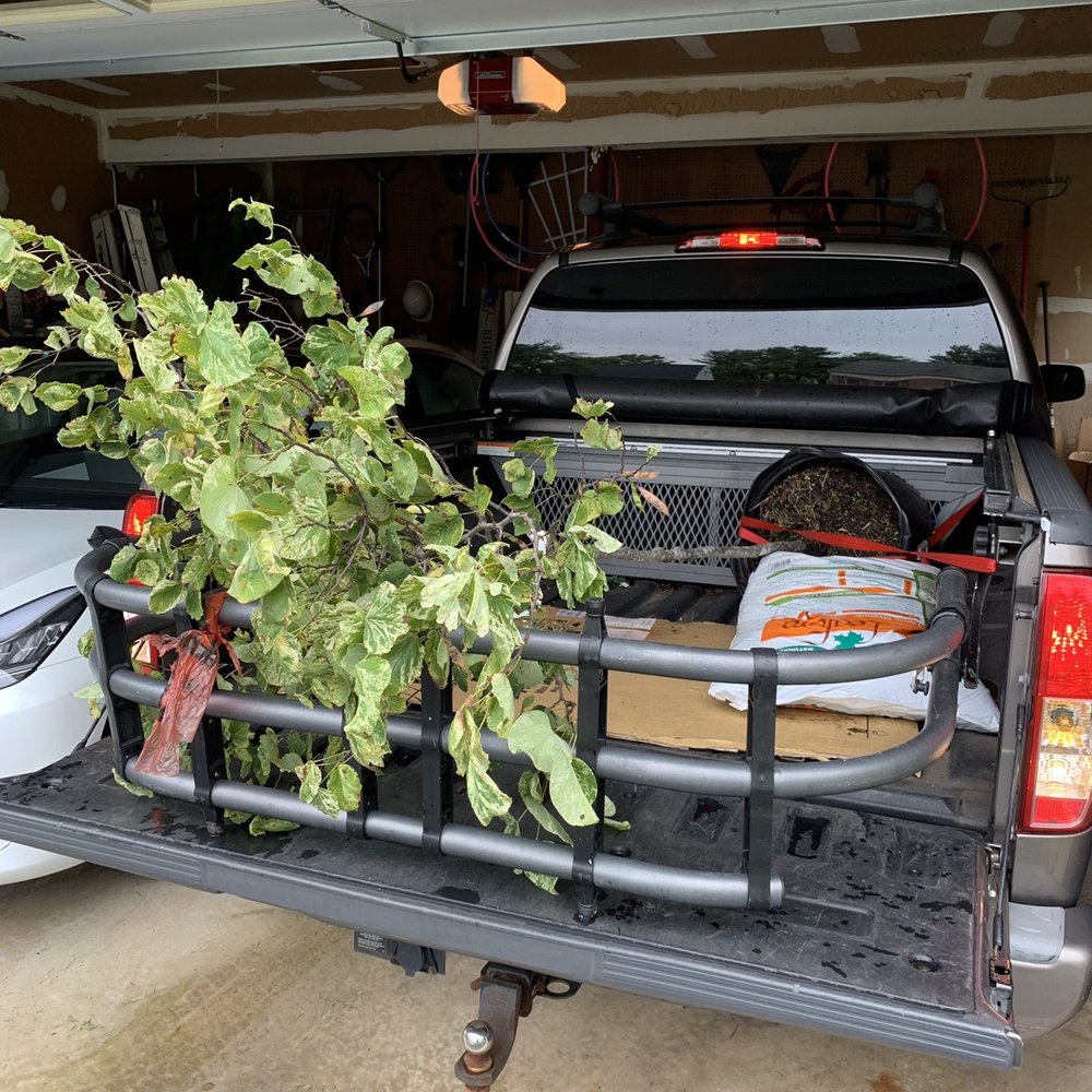 Matt helped us load up the tree and recommended leaf grow when planting the tree. Matt helped us load up the tree and recommended leaf grow when planting the tree.