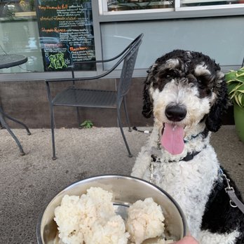 SATO - Puppy roll - Sushi Bars Near Me - Buffalo, New York