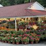 Red Top Farm Market