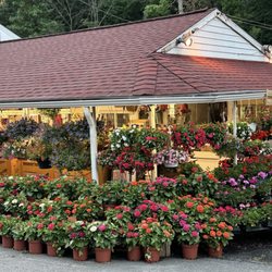 Red Top Farm Market - Lots of lovely flowers-support local