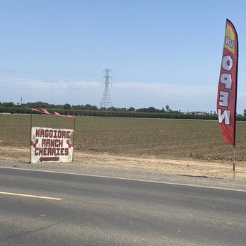 Maggiore Cherry Ranch - Fruits & Veggies Near Me - Brentwood, California