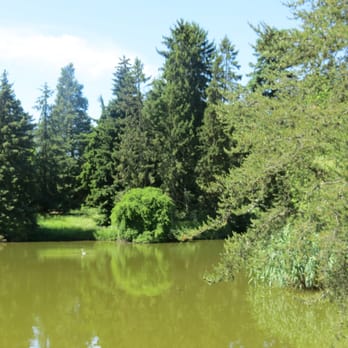 Botanischer Garten und Botanisches Museum - Museums Near Me - Berlin, BE