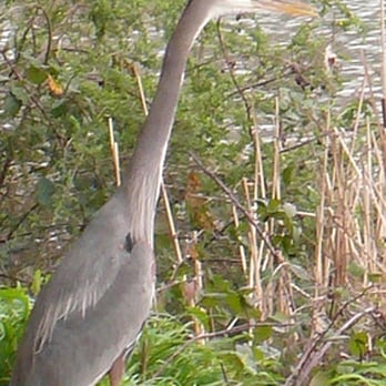 Lake Temescal - Parks Near Me - Oakland, California