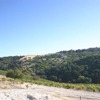 Minassian-Young Vineyards - The view Southeast from Minassian-Young - Wineries Near Me - Paso Robles, California Minassian-Young Vineyards - The view Southeast from Minassian-Young - Wineries Near Me - Paso Robles, California