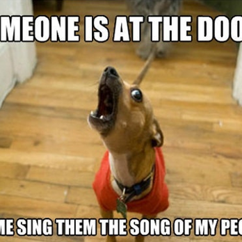 Pam 4 Paws - Love this caption!!! - Pet Training Near Me - Raymore, Missouri Pam 4 Paws - Love this caption!!! - Pet Training Near Me - Raymore, Missouri