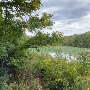Blendon Woods Metro Park - Parks Near Me - Westerville, Ohio
