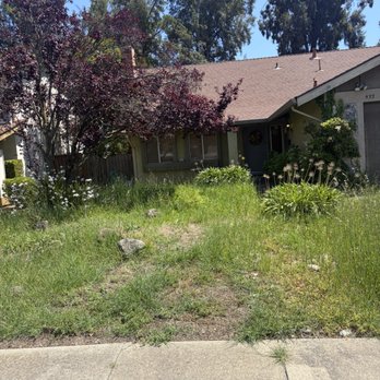Fairfield Landscape - Before - Lawn Services Near Me Fairfield Landscape - Before - Lawn Services Near Me