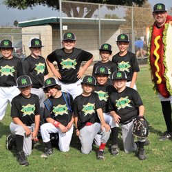 St. Hedwig Pony Baseball