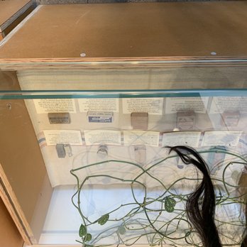Dockside Cannabis - SODO - Marijuana museum with bottle of pharmacy tonics and tinctures back to early 19th century. (Sorry photo is upside down). - Cannabis Clinics Near Me - Seattle, Washington