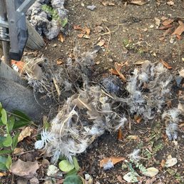 Dryer vent cleaning Dryer vent cleaning