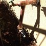 Photo of Troy Brown Plumbing