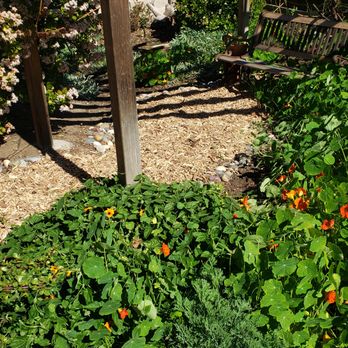 Gooden's Gardens - The woodchips look great! - Tree Services Near Me Gooden's Gardens - The woodchips look great! - Tree Services Near Me