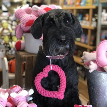 Dogville - Pet Stores Near Me - San Anselmo, California