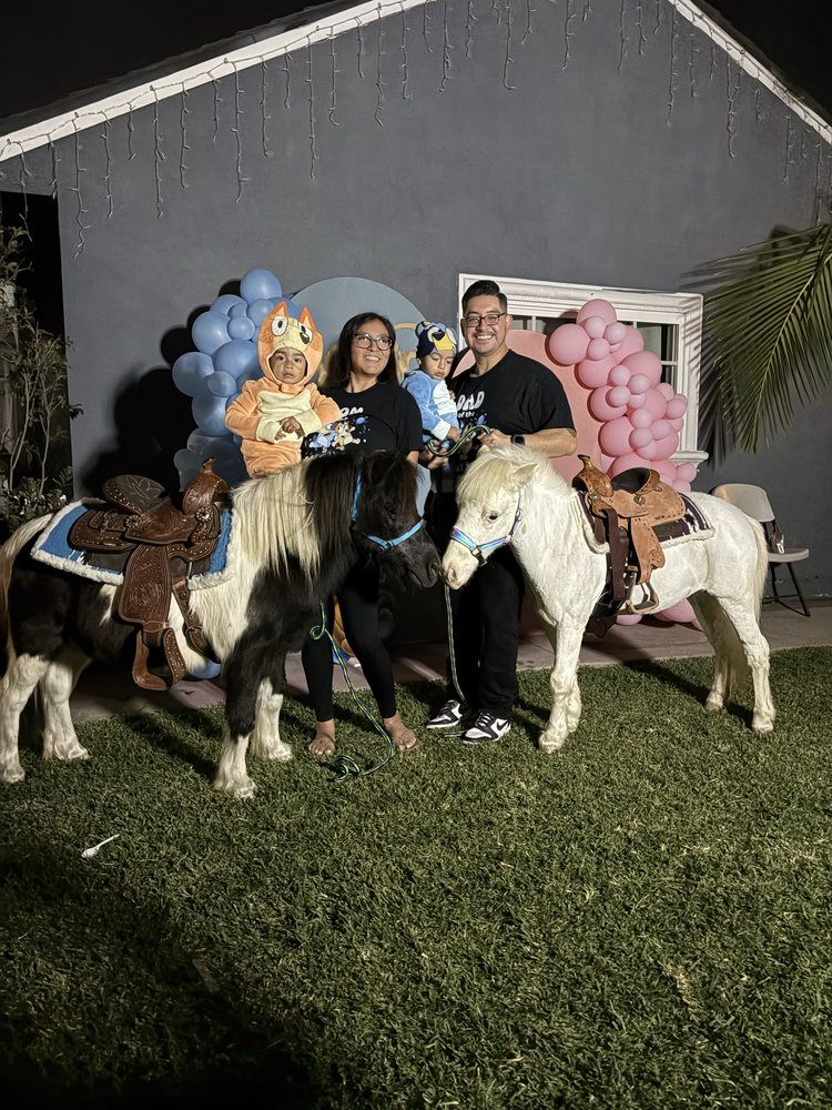 Picture Perfect Ponys - equestrian in Fallbrook, CA