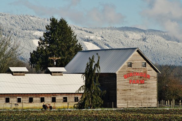 Biringer Farms by null