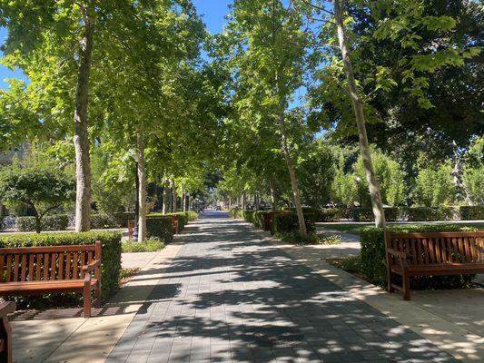 Stanford University by null