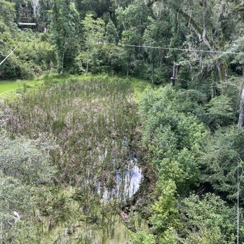 FLG X Adventure Course - Ziplining Near Me - Brooksville, Florida FLG X Adventure Course - Ziplining Near Me - Brooksville, Florida