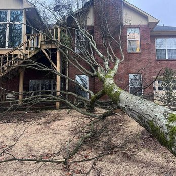 Affordable Tree Service - Tree Services Near Me - Tuscumbia, Alabama Affordable Tree Service - Tree Services Near Me - Tuscumbia, Alabama