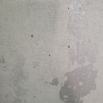 Fielder Electrical Services - Blood splatter left on the new wall paper. - Electricians Near Me - Saint Louis, Missouri