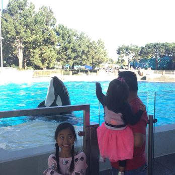 Dine With Orcas - Buffets Near Me - San Diego, California Dine With Orcas - Buffets Near Me - San Diego, California